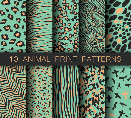 Set of vector turquoise animal print patterns. Collection of tiger, birds, zebra and leopard prints. For fabric, textile, wrapping, cover, banner etc.