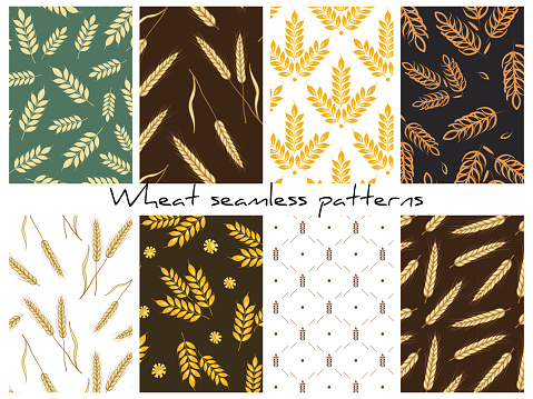Set of vector wheat seamless patterns; backgrounds for wrapping paper, fabric, packaging, textile.