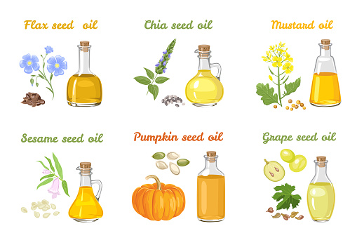 Set of vegetable oils in glass bottles of different shapes. Mustard, sesame, pumpkin, chia, linseed and grape seed oil isolated on white background. Vector illustration of food in cartoon flat style.