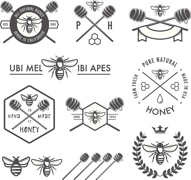 ilustrações de stock, clip art, desenhos animados e ícones de conjunto de elementos de design vintage de mel em branco - emblem food label