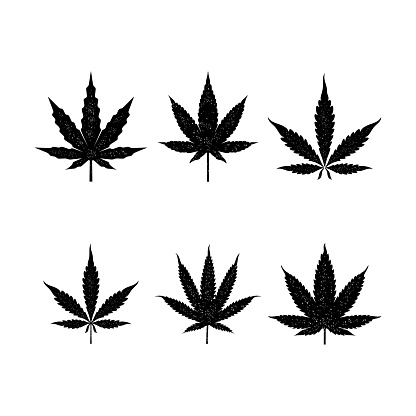Set of vintage rustic cannabis leaf, logo .  stock illustration Cannabis Plant, Cannabis Leaf, Marijuana - Herbal Cannabis, Logo