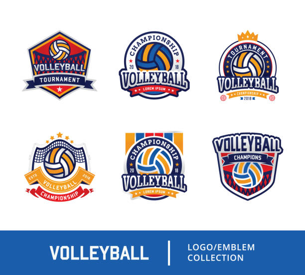 ilustraciones, imágenes clip art, dibujos animados e iconos de stock de conjunto de voleibol de la divisa diseño logo emblema - pelota de voleibol
