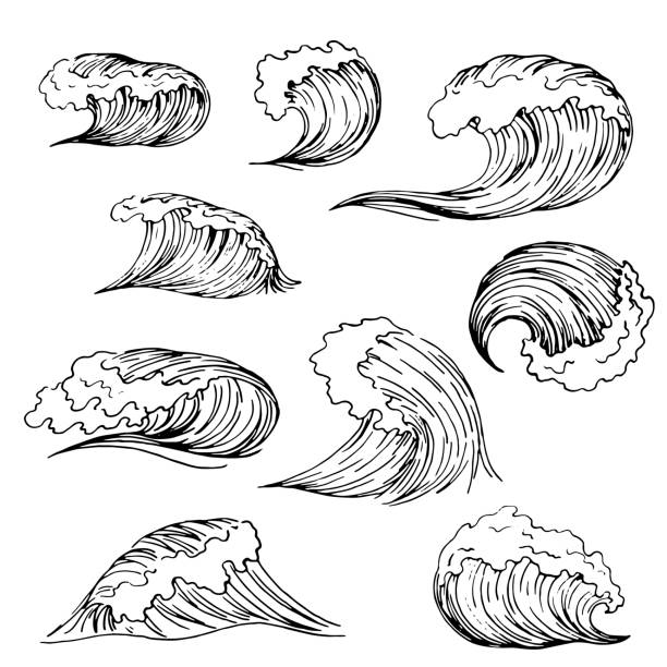 zestaw rysunku fali - tsunami stock illustrations