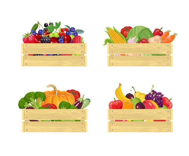 Set of Wooden boxes with different fresh vegetables, berries and fruits Isolated on white background. Vector illustration of farm organic food in cartoon flat style. Set of Wooden boxes with different fresh vegetables, berries and fruits Isolated on white background. Vector illustration of farm organic food in cartoon flat style. crate stock illustrations