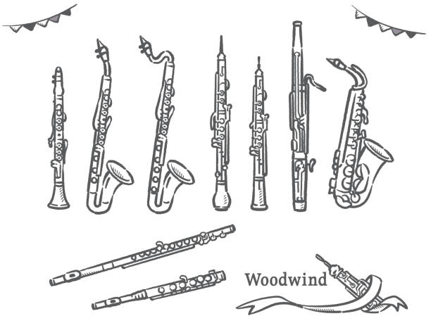 bildbanksillustrationer, clip art samt tecknat material och ikoner med uppsättning träblåsinstrument. - klarinett