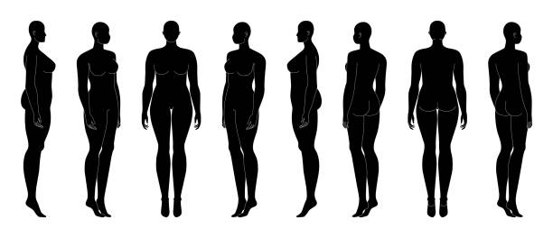 Fat Nude Women Silhouette Illustrations, Royalty-Free Vector Graphics & Clip Art - iStock