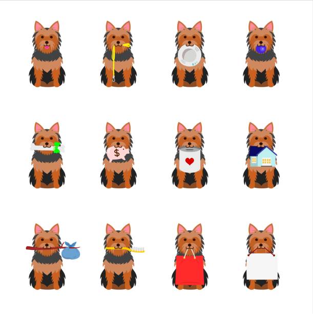 ilustrações de stock, clip art, desenhos animados e ícones de set of yorkshire terrier - foster home bag