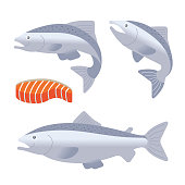 Seafood product design, salmon and filet