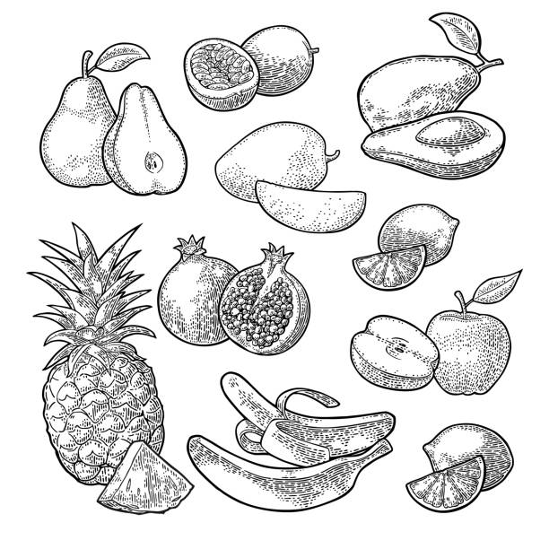 ilustrações de stock, clip art, desenhos animados e ícones de set tropical fruits. pineapple, lime, banana, pomegranate, maracuya, avocado. - granadilla