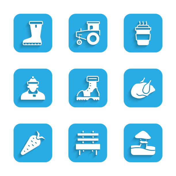Set Waterproof rubber boot, Bench, Mushroom, Roasted turkey or chicken, Carrot, Autumn clothes, Coffee cup to go and icon. Vector Set Waterproof rubber boot Bench Mushroom Roasted turkey or chicken Carrot Autumn clothes Coffee cup to go and icon. Vector. dexcom g6 waterproof stock illustrations
