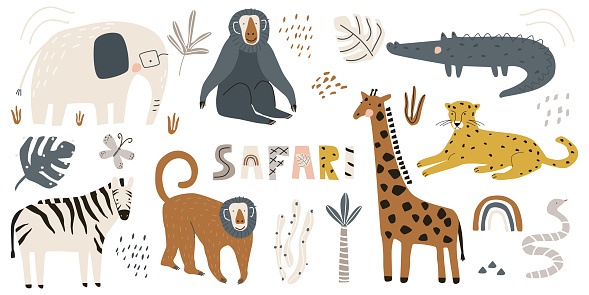 Set with cute safari animals giraffe elephant, leopard, zebra, giraffe, monkey, crocodile and snake isolated on a white background. Vector illustration for printing on fabric, packaging paper, clothing. Cute children's background