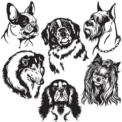 set with dogs heads