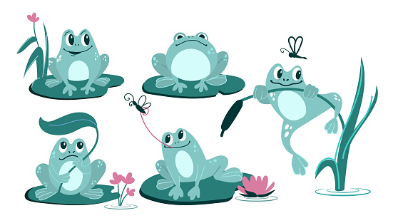 A set with funny frogs in different poses on a white background. Cartoon-style illustration. vector.