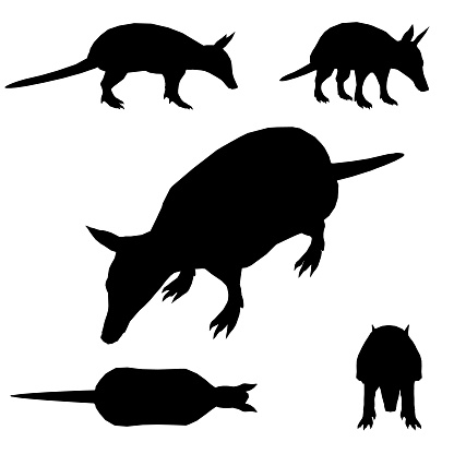 Set with silhouettes of an animal armadillo in different positions isolated on a white background. Vector illustration