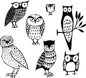 A set of owls each with their own personality