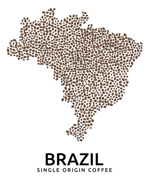 ilustrações de stock, clip art, desenhos animados e ícones de shape of brazil map made of scattered coffee beans, country name below - cafe brasil