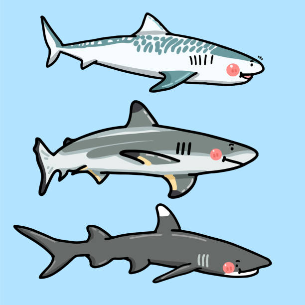 shark cartoon character illustration vector set shark cartoon character illustration vector set stylized underwater nature set of icons stock illustrations