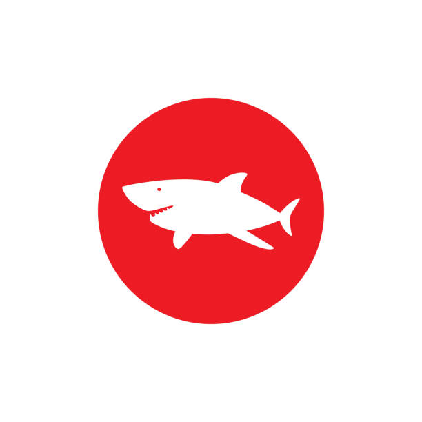 illustrazioni stock, clip art, cartoni animati e icone di tendenza di emblema rotondo pericoloso squalo - vietato tuffarsi