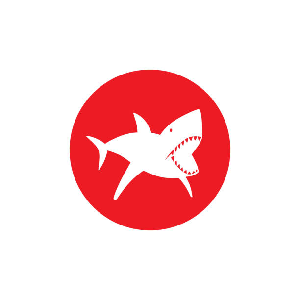 illustrazioni stock, clip art, cartoni animati e icone di tendenza di emblema rotondo pericoloso squalo - vietato tuffarsi