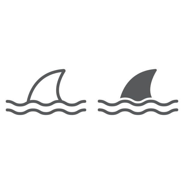 Shark line and glyph icon, ocean and predator, dangerous fish sign vector graphics, a linear icon on a white background, eps 10. Shark line and glyph icon, ocean and predator, dangerous fish sign vector graphics, a linear icon on a white background, eps 10 shark stock illustrations