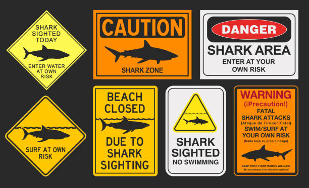 Shark warning signs Vector illustration of different shark warning signs animals attacking stock illustrations