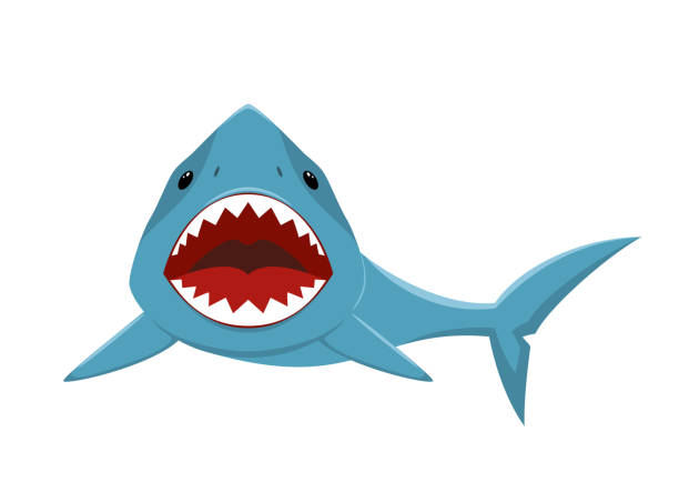 акула с открытым ртом - shark teeth cartoons stock illustrations.
