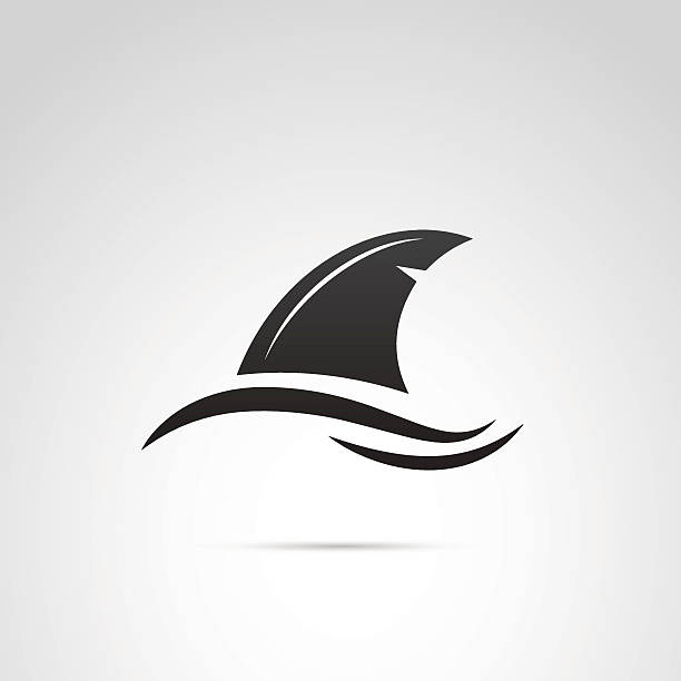Shark's fin vector icon. Vector art: black shark icon. shark stock illustrations