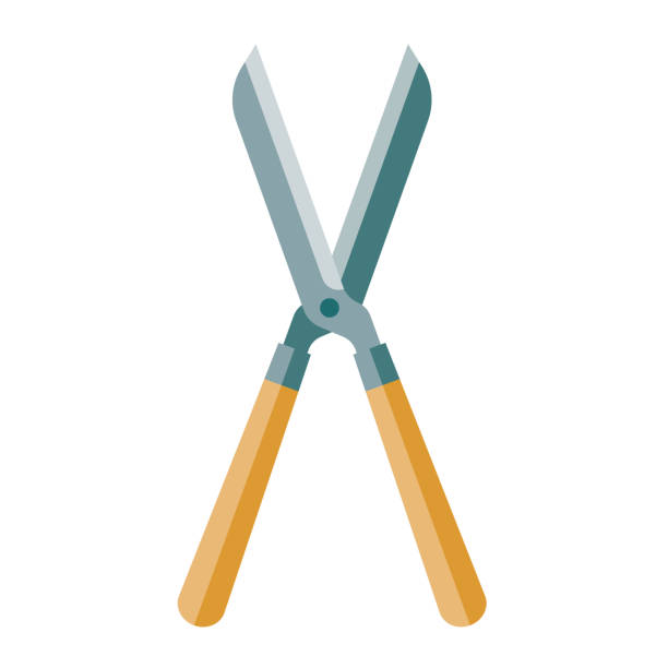 Shears Icon on Transparent Background A flat design gardening icon on a transparent background (can be placed onto any colored background). File is built in the CMYK color space for optimal printing. Color swatches are global so it’s easy to change colors across the document. No transparencies, blends or gradients used. hedge clippers stock illustrations
