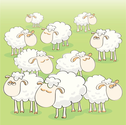 Sheep Group