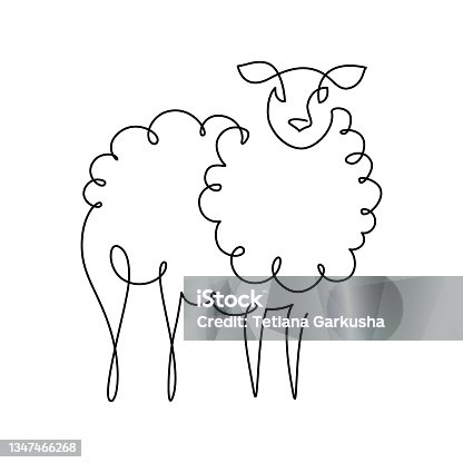 istock Sheep 1347466268