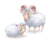 istock Sheeps 1371521071
