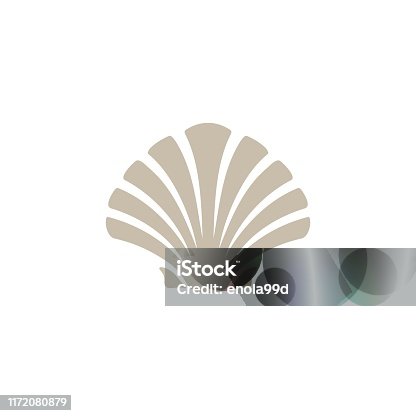 istock Shell / Oyster / Scallop design inspiration 1172080879