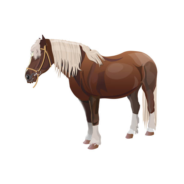 bildbanksillustrationer, clip art samt tecknat material och ikoner med shire utkast till häst - working stable horses