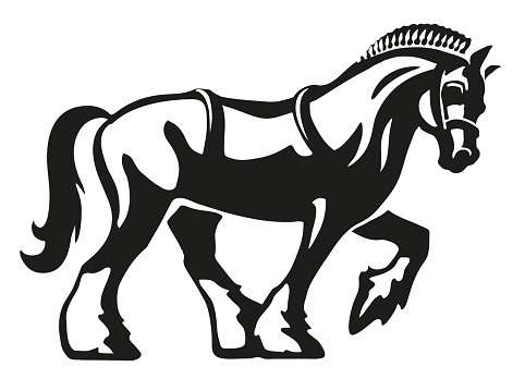 Shire Horse / Draft Horse / Heavy Horse, vector logo illustration