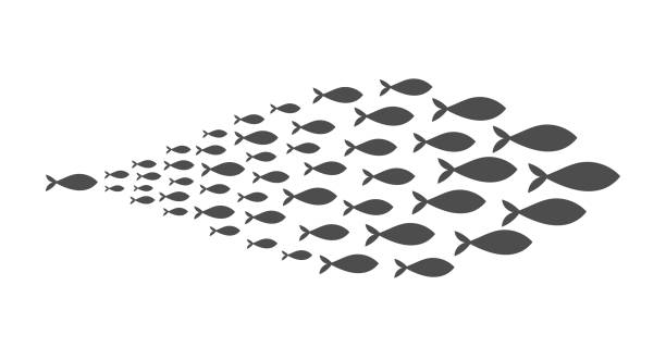 Shoal of fish. Shoal of fish. Vector illustration. school of fish stock illustrations