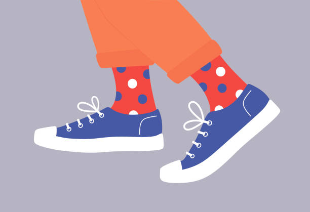 Shoe pair, boots, footwear. Canvas shoes, sneakers with colored socks and jeans. Shoe pair, boots, footwear. Canvas shoes, sneakers with colored socks and jeans. Сolor fashion style high-top and low-top sneakers. Lace-up shoes. Walking. Colorful isolated flat vector illustration. feet unit of measurement stock illustrations