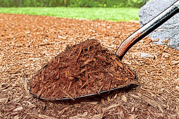 Shovel and mulch Stipple illustration of a Shovel and mulch mulch stock illustrations