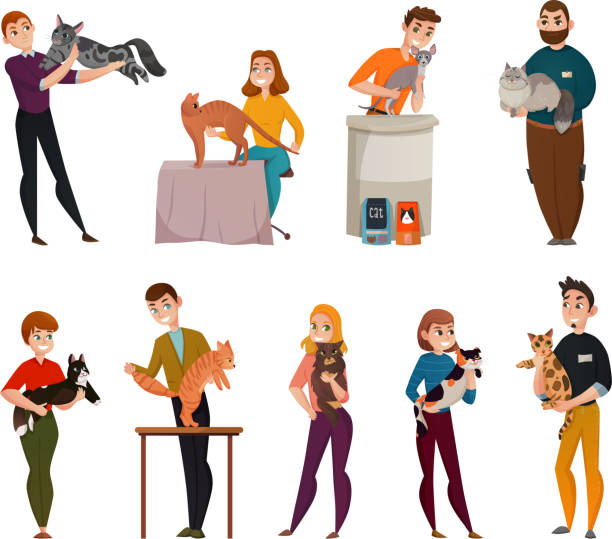 show cats set All-breed cats show isolated cartoon icons set with owners presenting pets to jury isolated vector illustration bengals stock illustrations