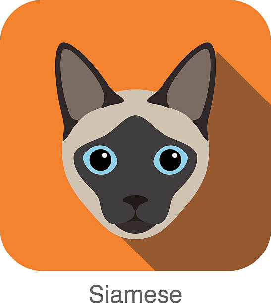 Siamese Cat Illustrations, Royalty-Free Vector Graphics & Clip Art - iStock