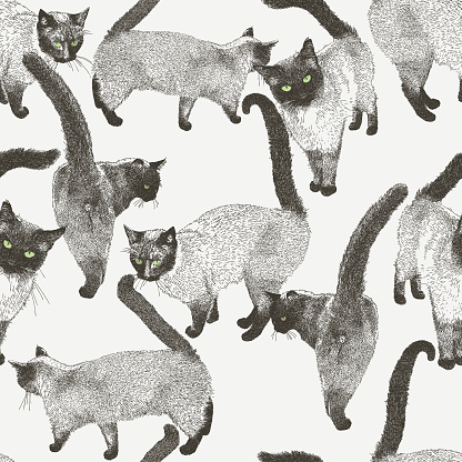 Siamese Cat Seamless Repeat Pattern
