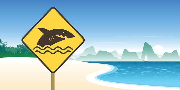 stockillustraties, clipart, cartoons en iconen met dont swim sign on the beach - strandbordjes