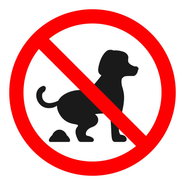 Dog Poo Dog mess Clean Up After Your Dog Warning Stickers No Dog Fouling 