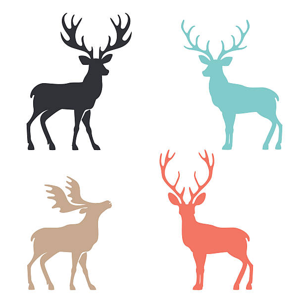 Silhouette deer with great antler animal vector illustration Various silhouettes of deer isolated on white background, christmas deers. moose stock illustrations