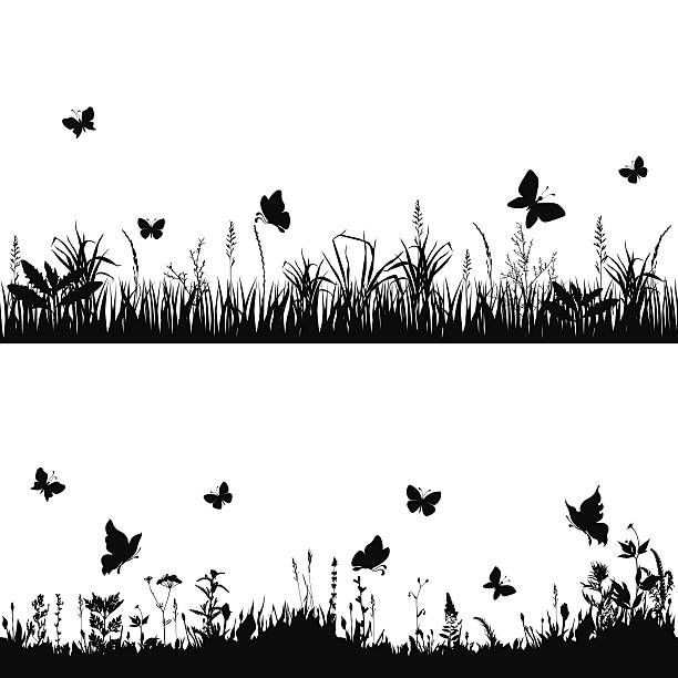 silhouette meadows - biodiversität stock-grafiken, -clipart, -cartoons und -symbole