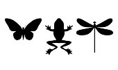 istock Silhouette of a butterfly, frog, dragonfly. 1287074901