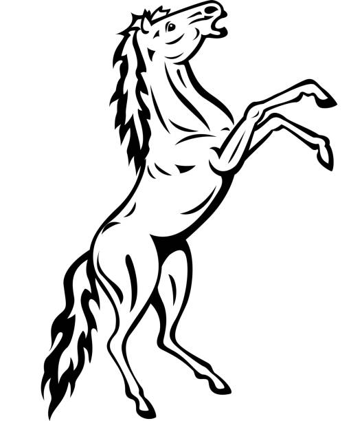 bildbanksillustrationer, clip art samt tecknat material och ikoner med silhuett av en häst stående - foal isolated