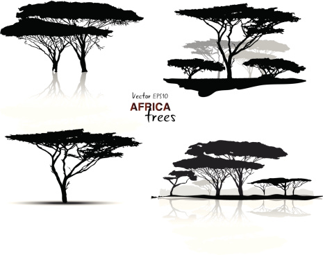 Silhouette of africa trees