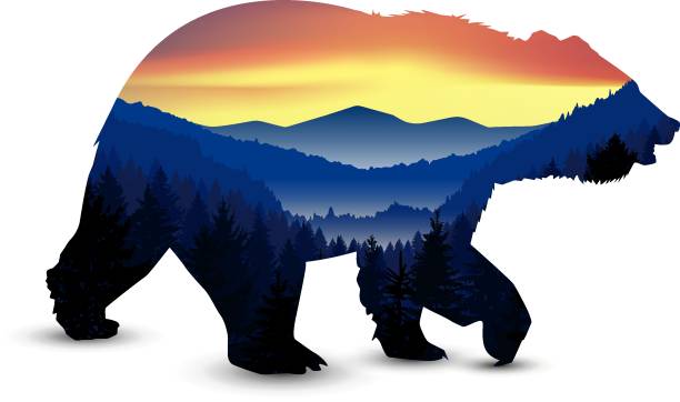 Silhouette of bear Silhouette of  bear with panorama of mountains. Valley(canyon).  Evening. Aurora. bear stock illustrations
