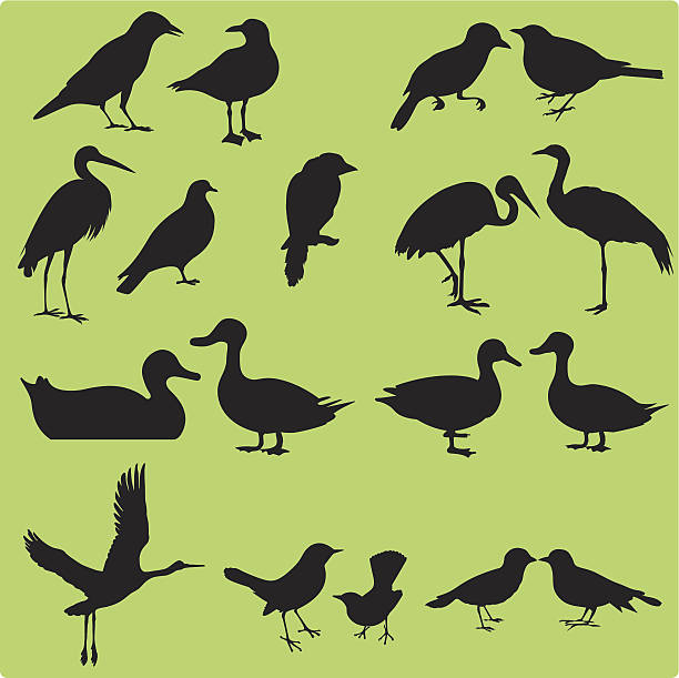 stockillustraties, clipart, cartoons en iconen met silhouette of birds (set#1) seamless background: vector - eend watervogel