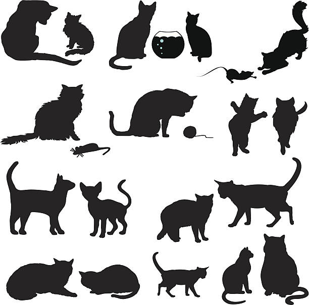 silhouette von katzen, katze und kätzchen-nahtlose hintergrund - tatze katze freisteller stock-grafiken, -clipart, -cartoons und -symbole